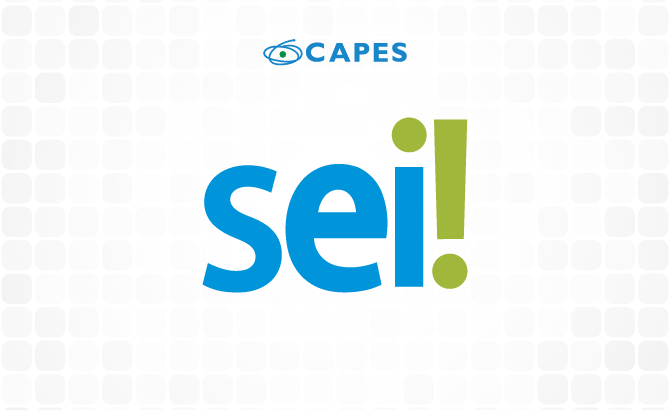 Capacitação em SEI: aprimore seus conhecimentos no Sistema Eletrônico de Informações 