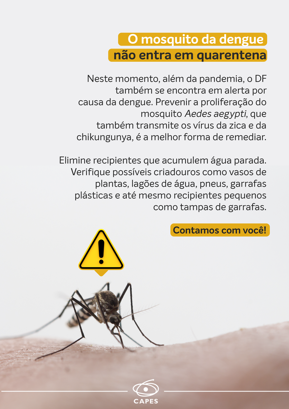 28082020 Dengue quaretena A4 2