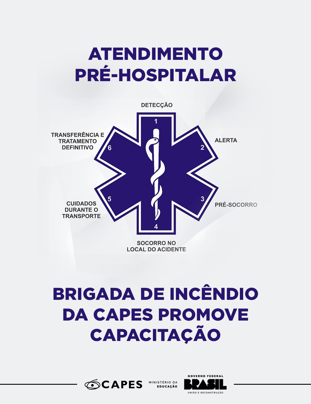 CARD APH BRIGADA