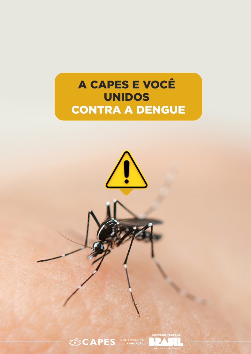 IMAGEM CAPES E VOCÊ DENGUE