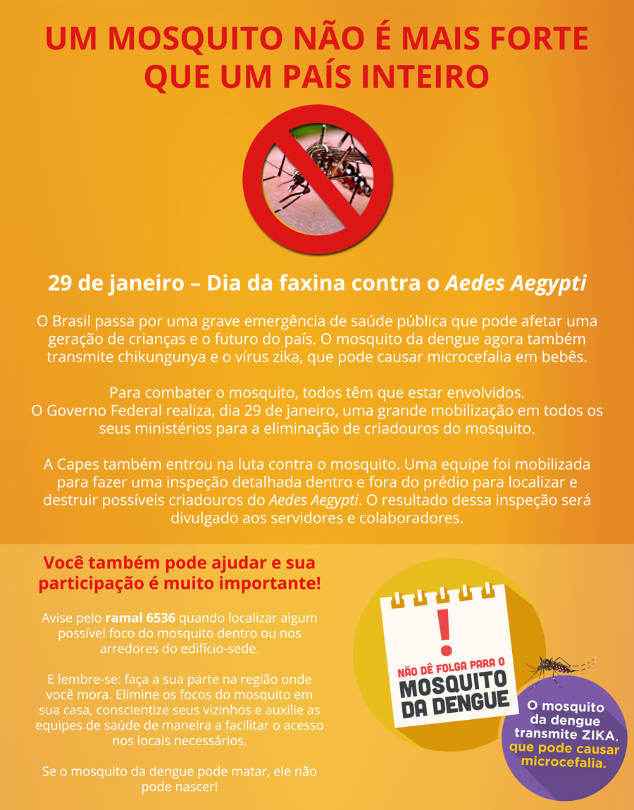 cartazete-dengue-intranet-3
