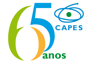 logo 65